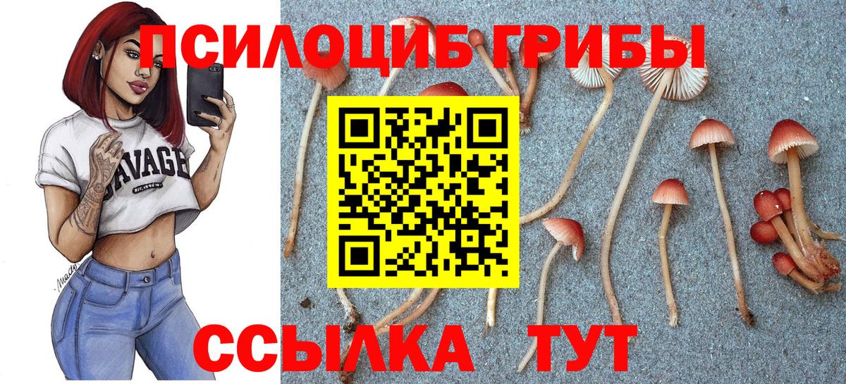 Кирово-Чепецк  Галлюциногенные грибы Psilocybine cubensis  купить   Вход с VPN 